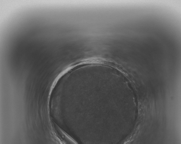 X0000059820200200510281740