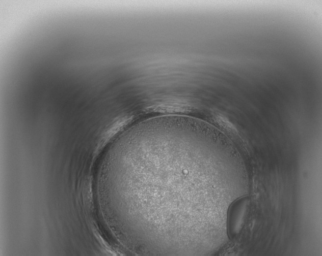 X0000059820202200510281740