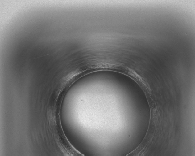 X0000059820203200510281740