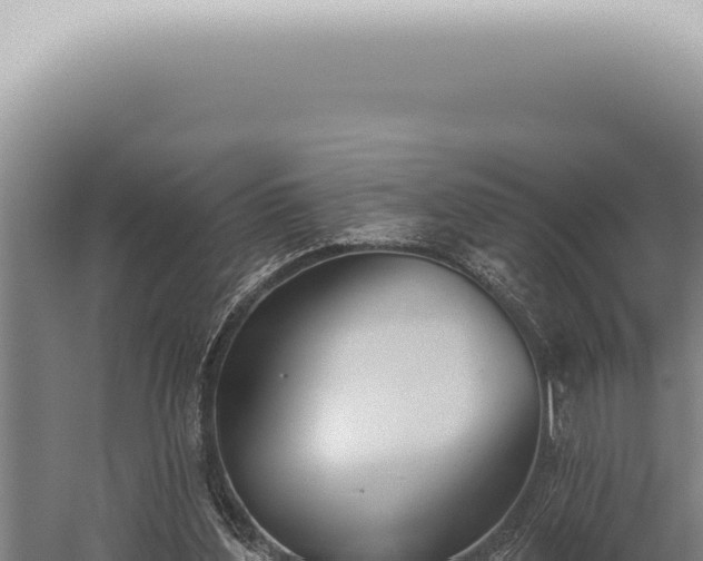 X0000059820204200510281740