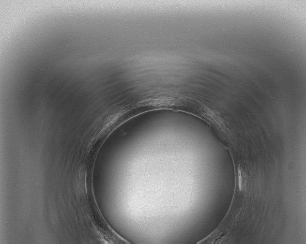 X0000059820205200510281740