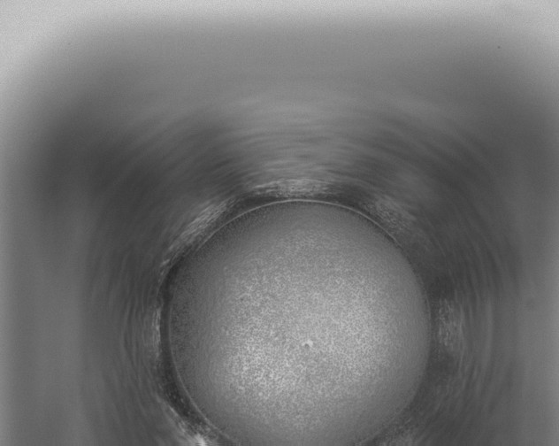 X0000059820206200510281740