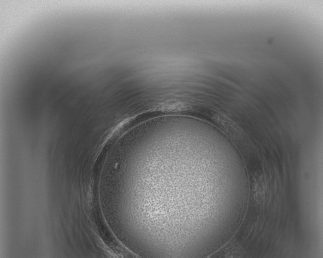 X0000059820208200510281740