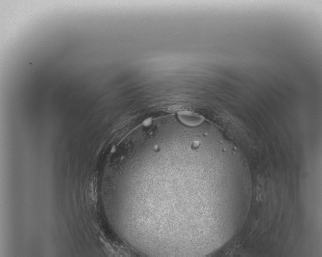 X0000059820210200510281740