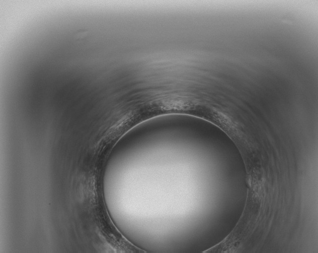 X0000059820211200510281740