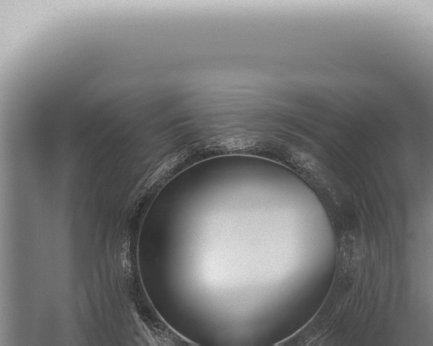 X0000059820212200510281740