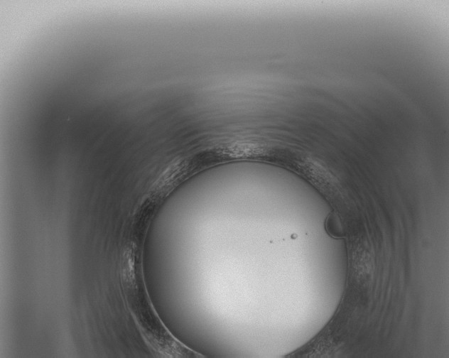 X0000059820214200510281740