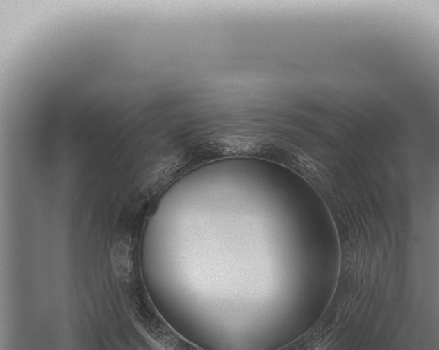 X0000059820215200510281740