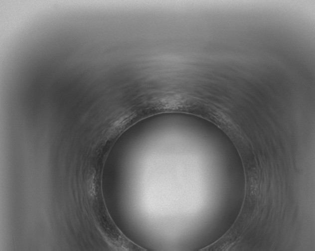 X0000059820216200510281740