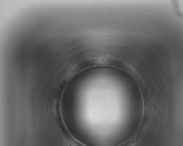 X0000059820217200510281740