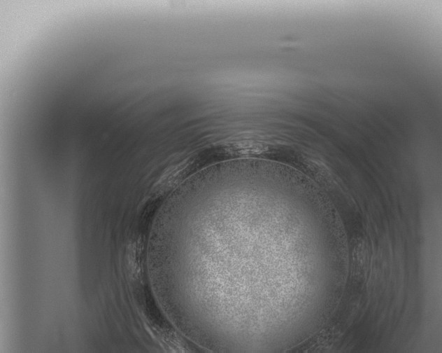 X0000059820218200510281740