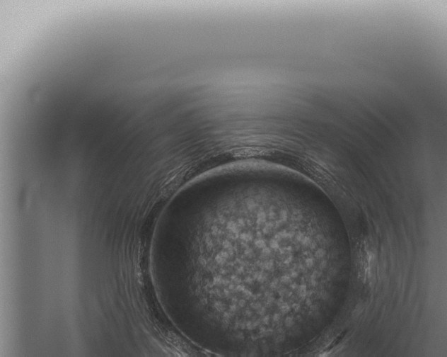 X0000059820219200510281740