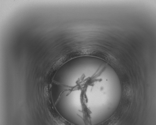 X0000059820220200510281740