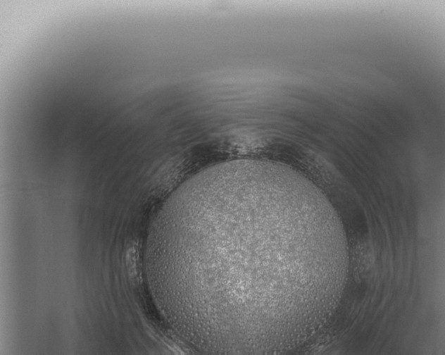 X0000059820222200510281740