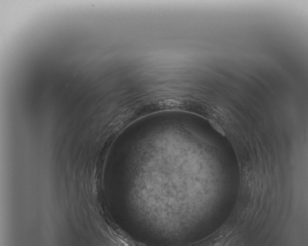 X0000059820223200510281740