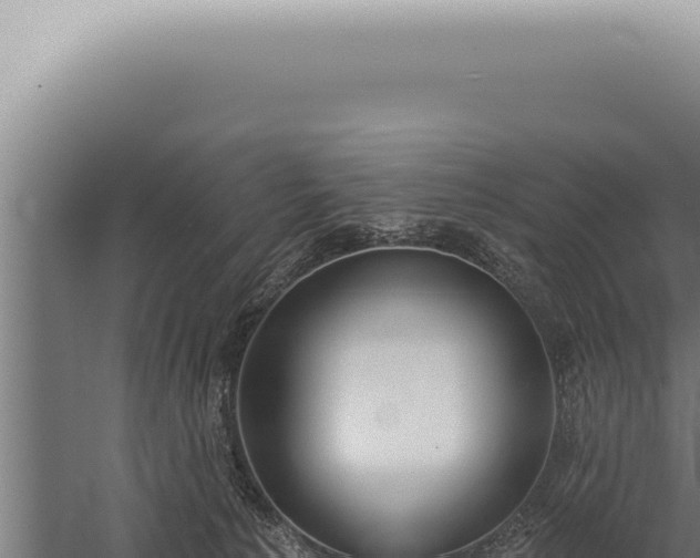 X0000059820225200510281740