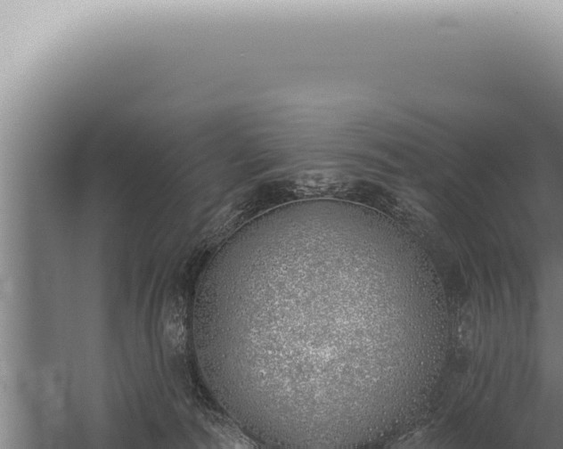 X0000059820226200510281740