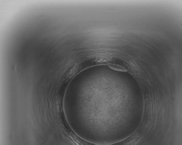 X0000059820227200510281740