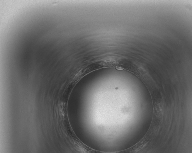 X0000059820232200510281740