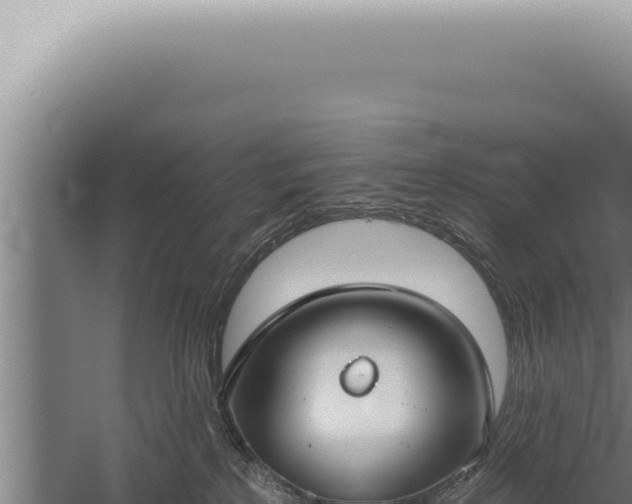 X0000059820233200510281740