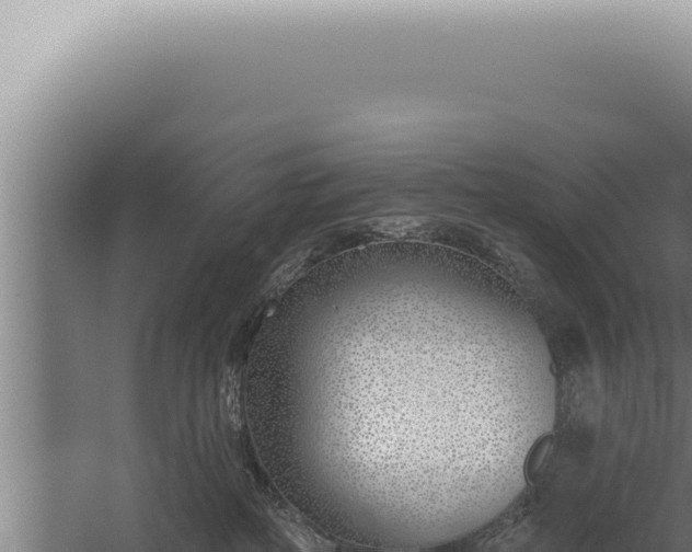 X0000059820234200510281740