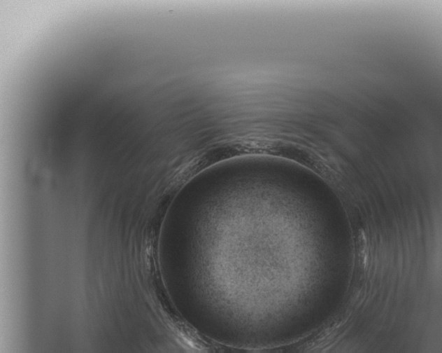 X0000059820235200510281740