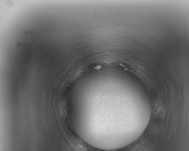 X0000059820236200510281740