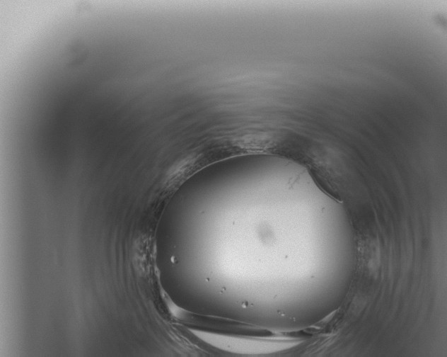 X0000059820237200510281740