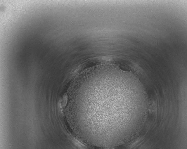 X0000059820238200510281740