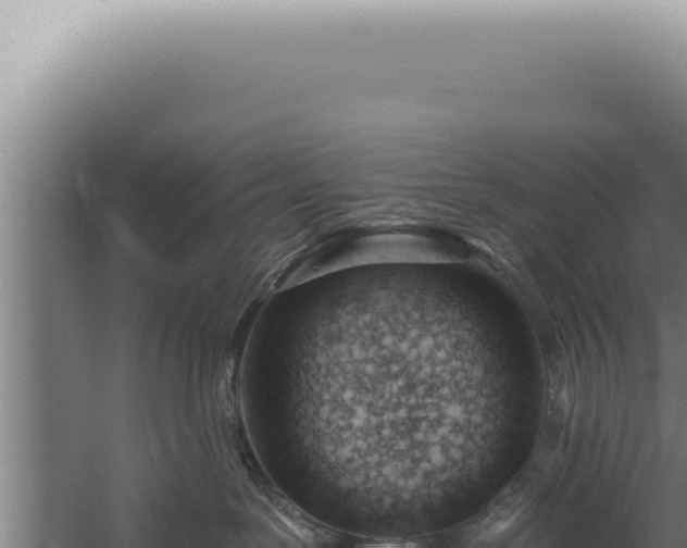 X0000059820239200510281740