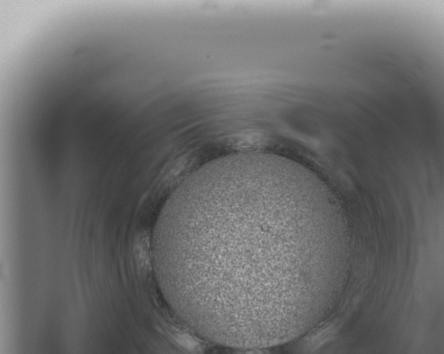 X0000059820240200510281740