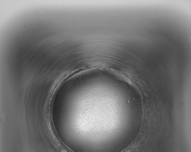 X0000059820241200510281739