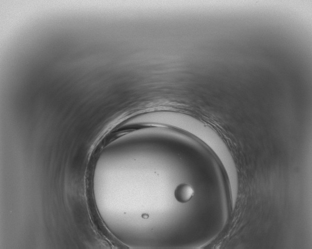 X0000059820244200510281739