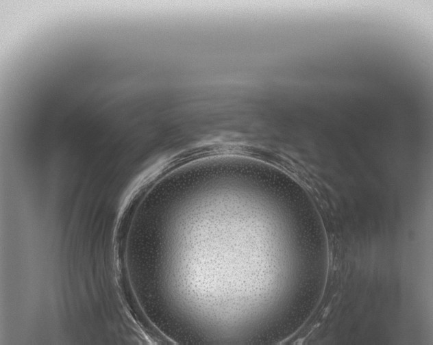 X0000059820245200510281739