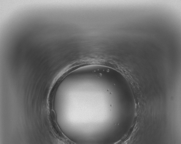 X0000059820246200510281739