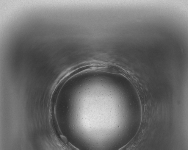 X0000059820247200510281739