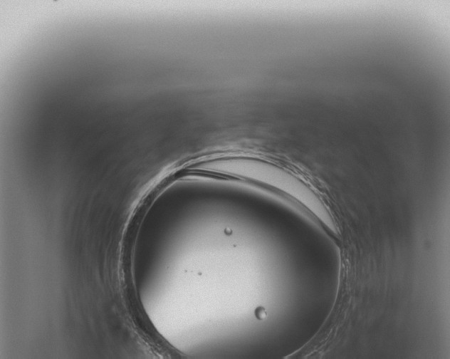 X0000059820248200510281739