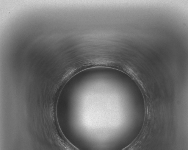 X0000059820249200510281739