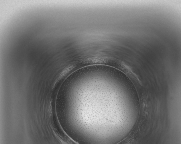 X0000059820250200510281739