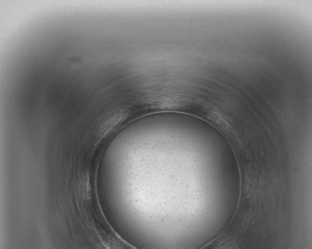 X0000059820251200510281739