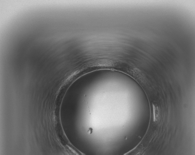 X0000059820252200510281739