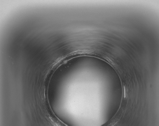 X0000059820253200510281739