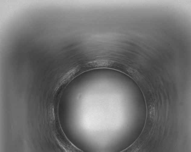 X0000059820254200510281739