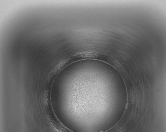 X0000059820255200510281739