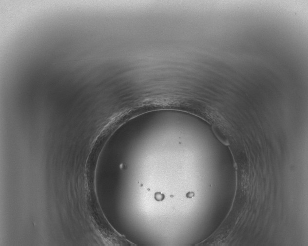 X0000059820256200510281739