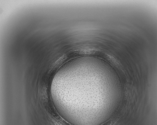 X0000059820258200510281739