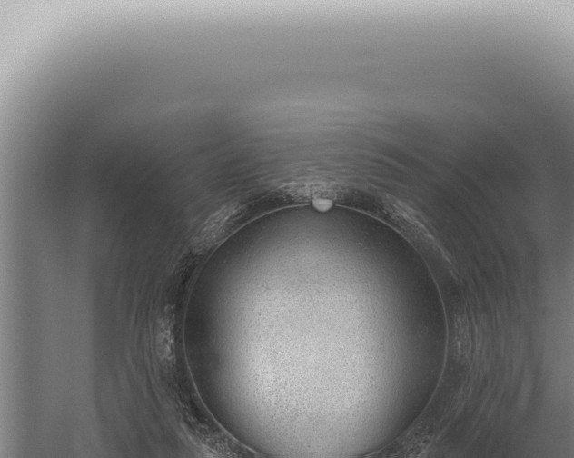 X0000059820259200510281739