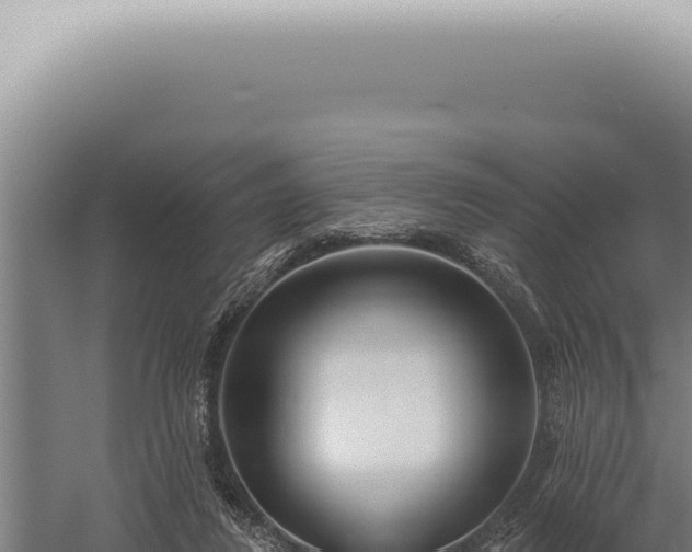 X0000059820260200510281739