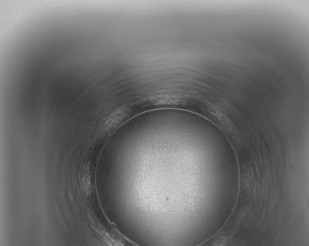 X0000059820261200510281739