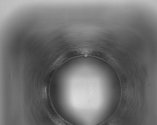 X0000059820262200510281739